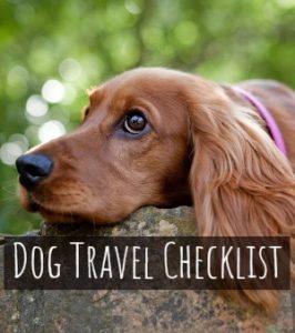 Doggy Travel Checklist